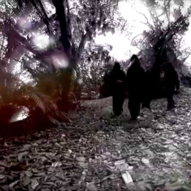 astari nite i o 1987