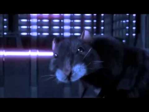 click click rats in my bed