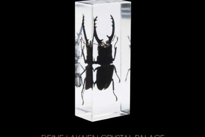 deine lakaien crystal palace