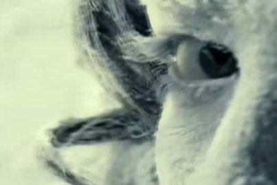 ladytron destroy everything you