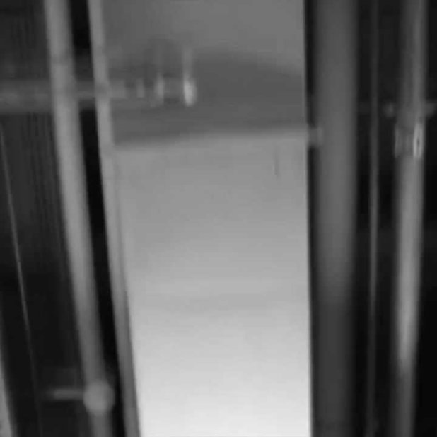 neuroticfish silence