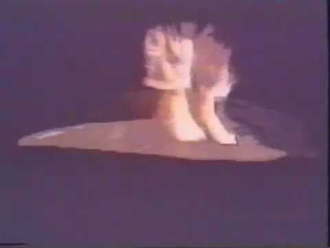 boytronic you