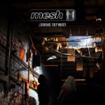 mesh looking skyward