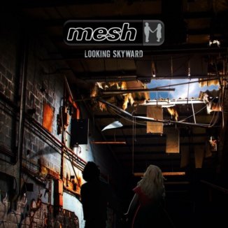 mesh looking skyward