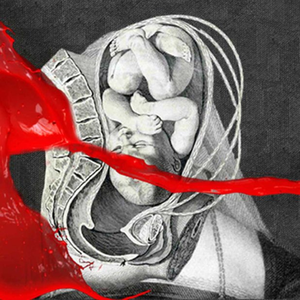 IAMX - The Unified Fields IAMX The Unified Fields