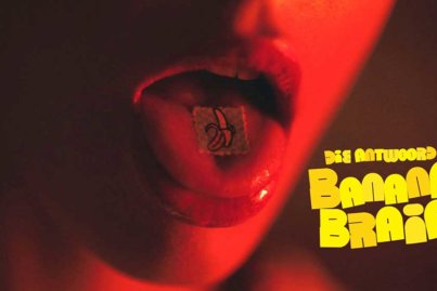 Die Antwoord Banana Brain