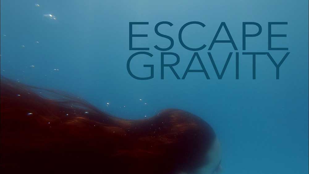 Faderhead Escape Gravity