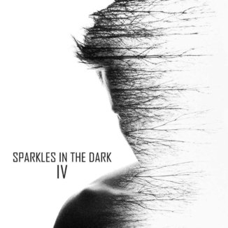 Sparkles In The Dark Vol. 4 Various Artists Sparkles In The Dark Vol4