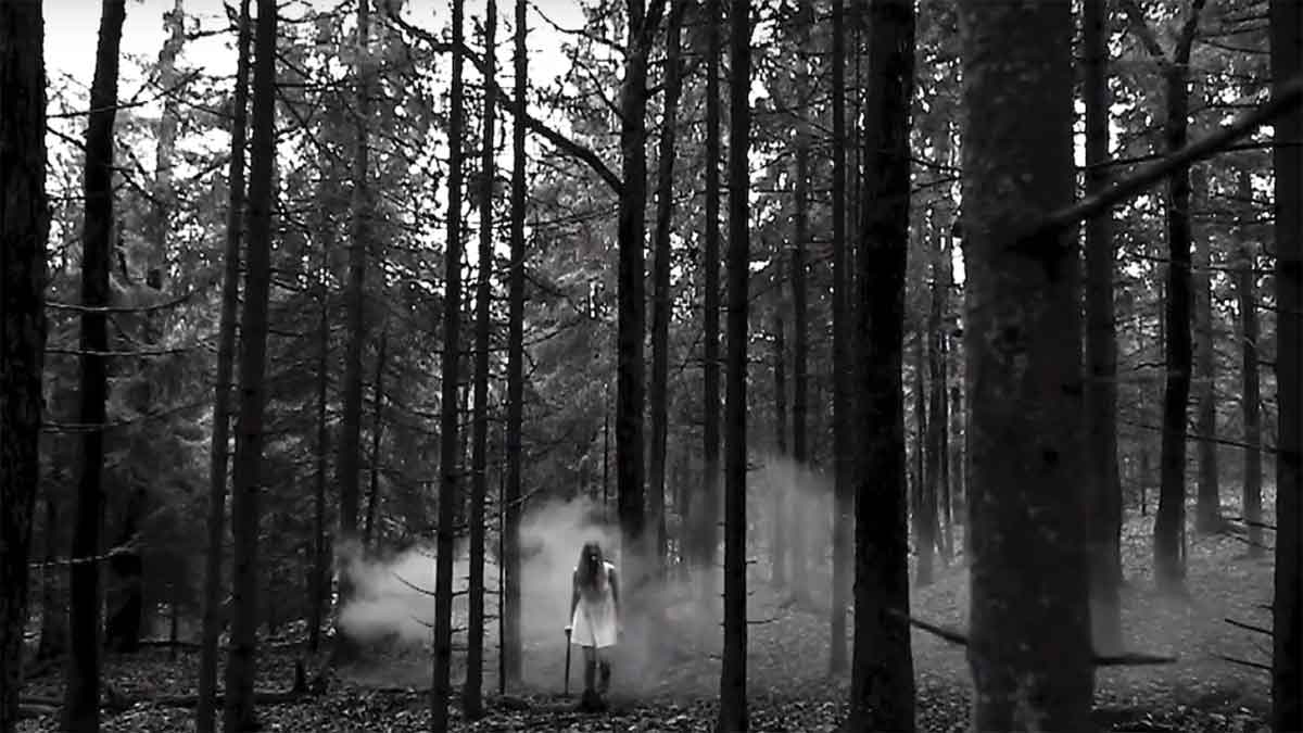 Black Forest Greed