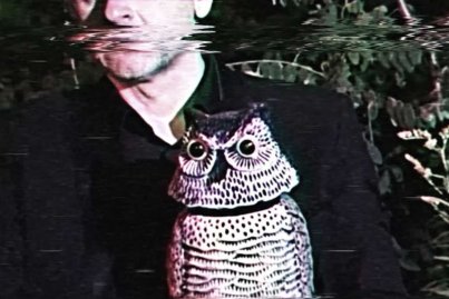 Das Moon - Owl