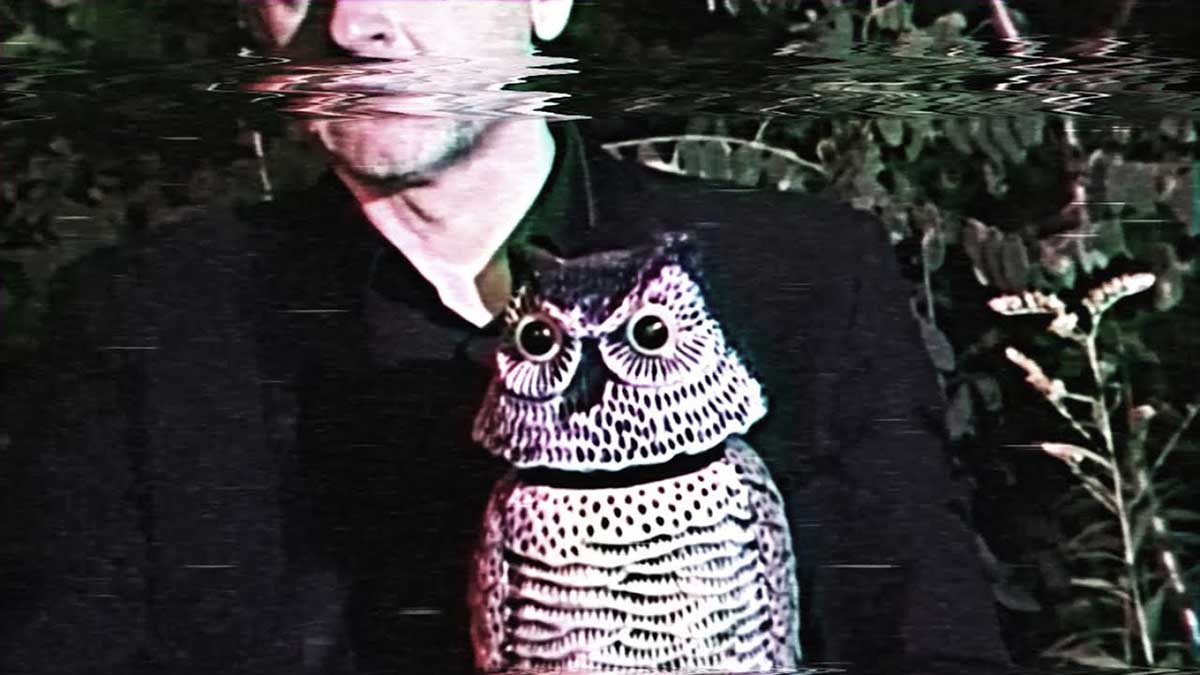 Das Moon - Owl