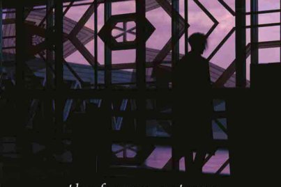 The Frozen Autumn - The Fellow Traveller