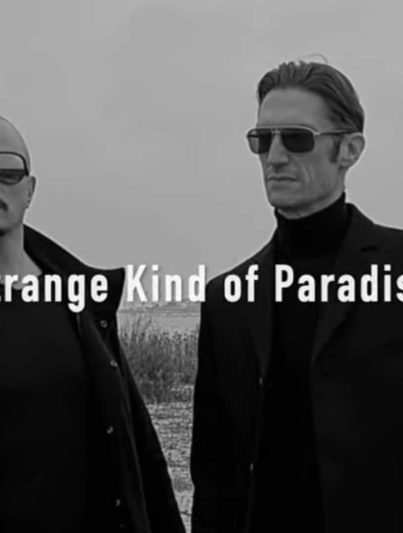 Cold Connection - Strange Kind Of Paradise