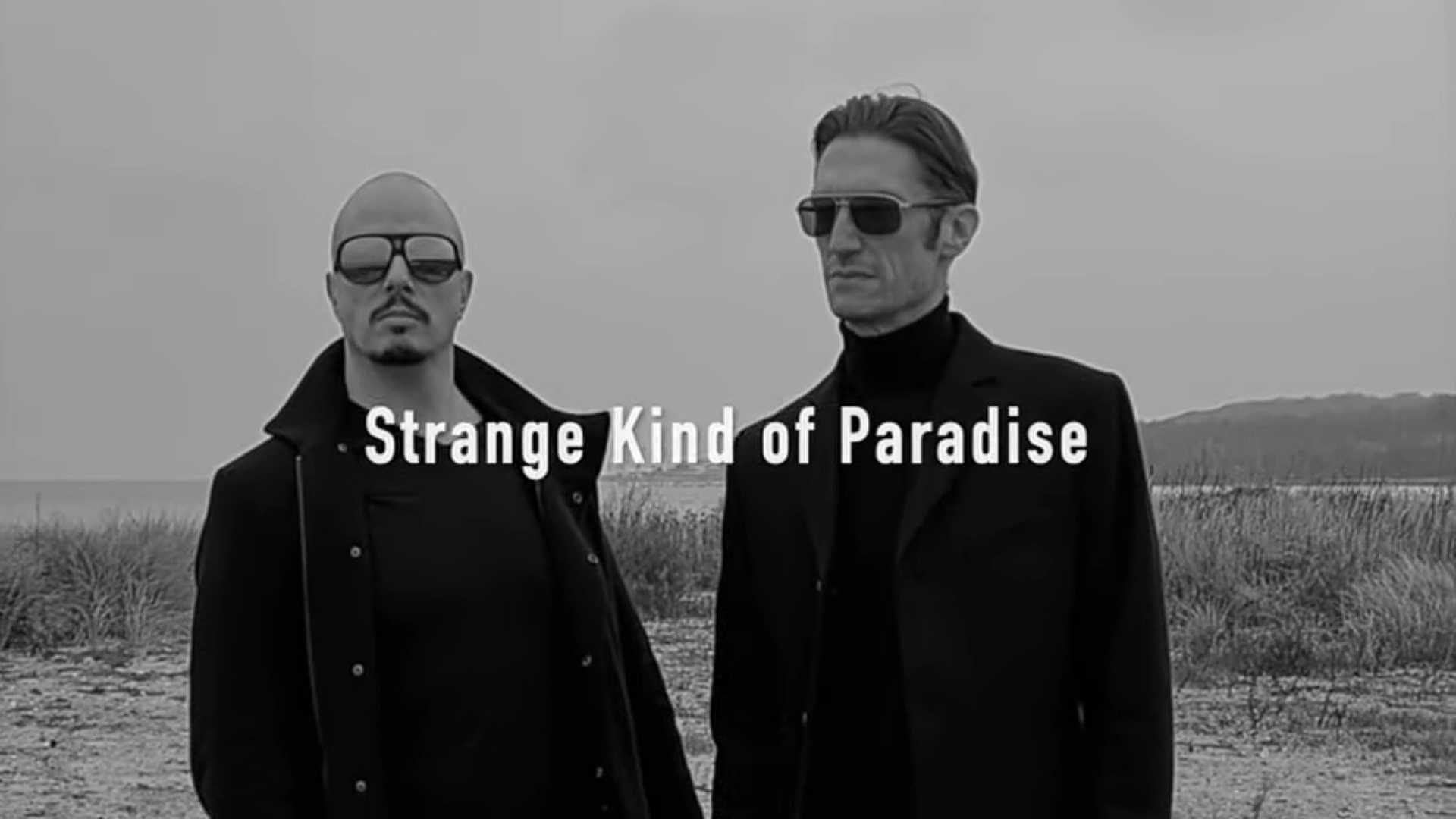 cold connection strange kind of paradise