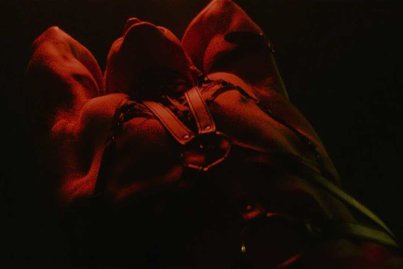 Hatari – Hatrið Mun Sigra