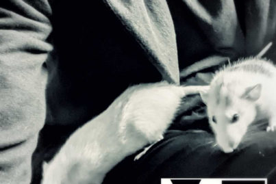 My Hysteria - Leipzig My Hysteria - Leipzig