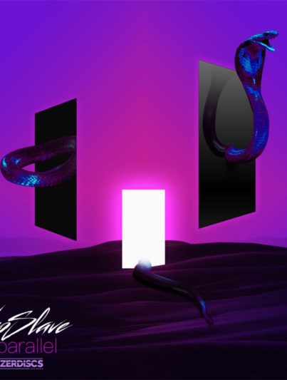 NeoSlave - Danger2us NeoSlave Danger2us