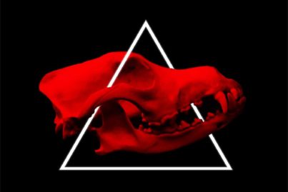 Strangers - Predator