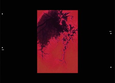 Uèle Lamore - Warm Blood (feat. Silly Boy Blue)