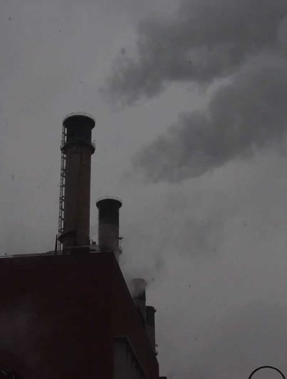 Zachery Allan Starkey - Fallout